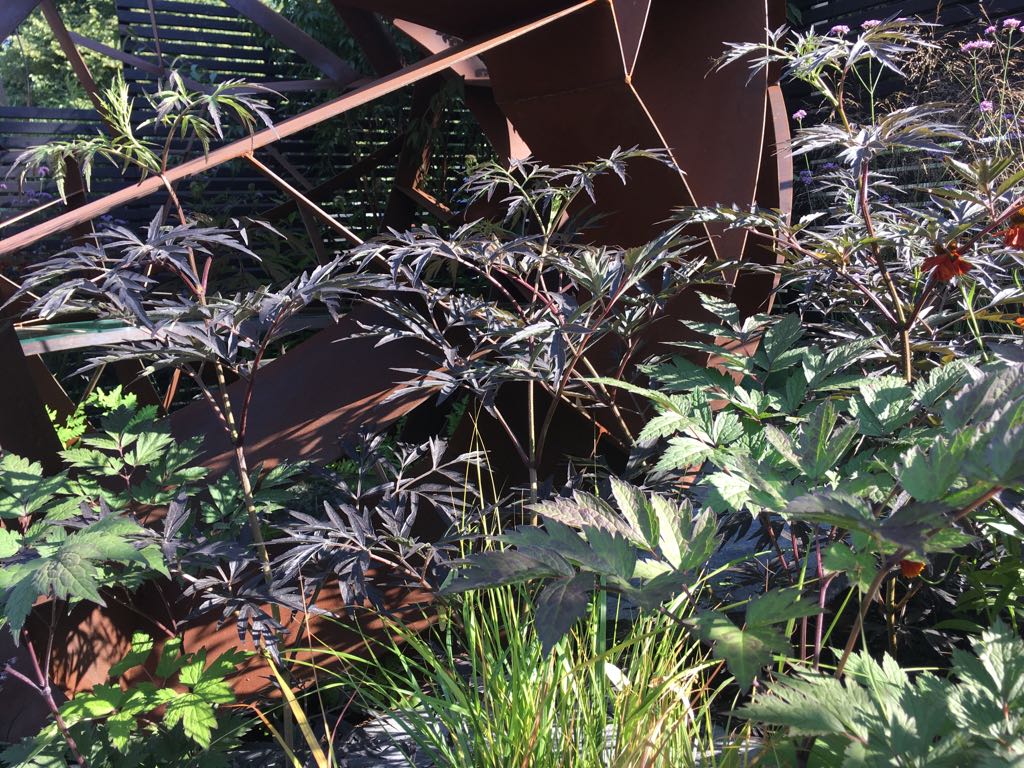 IMG-20180706-WA0003.jpg