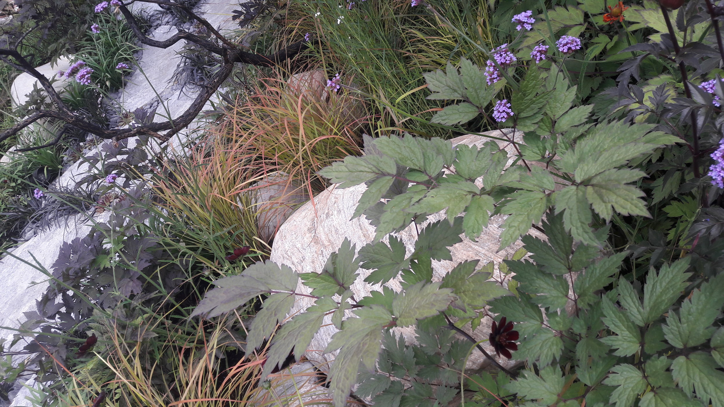 20180704_151209.jpg