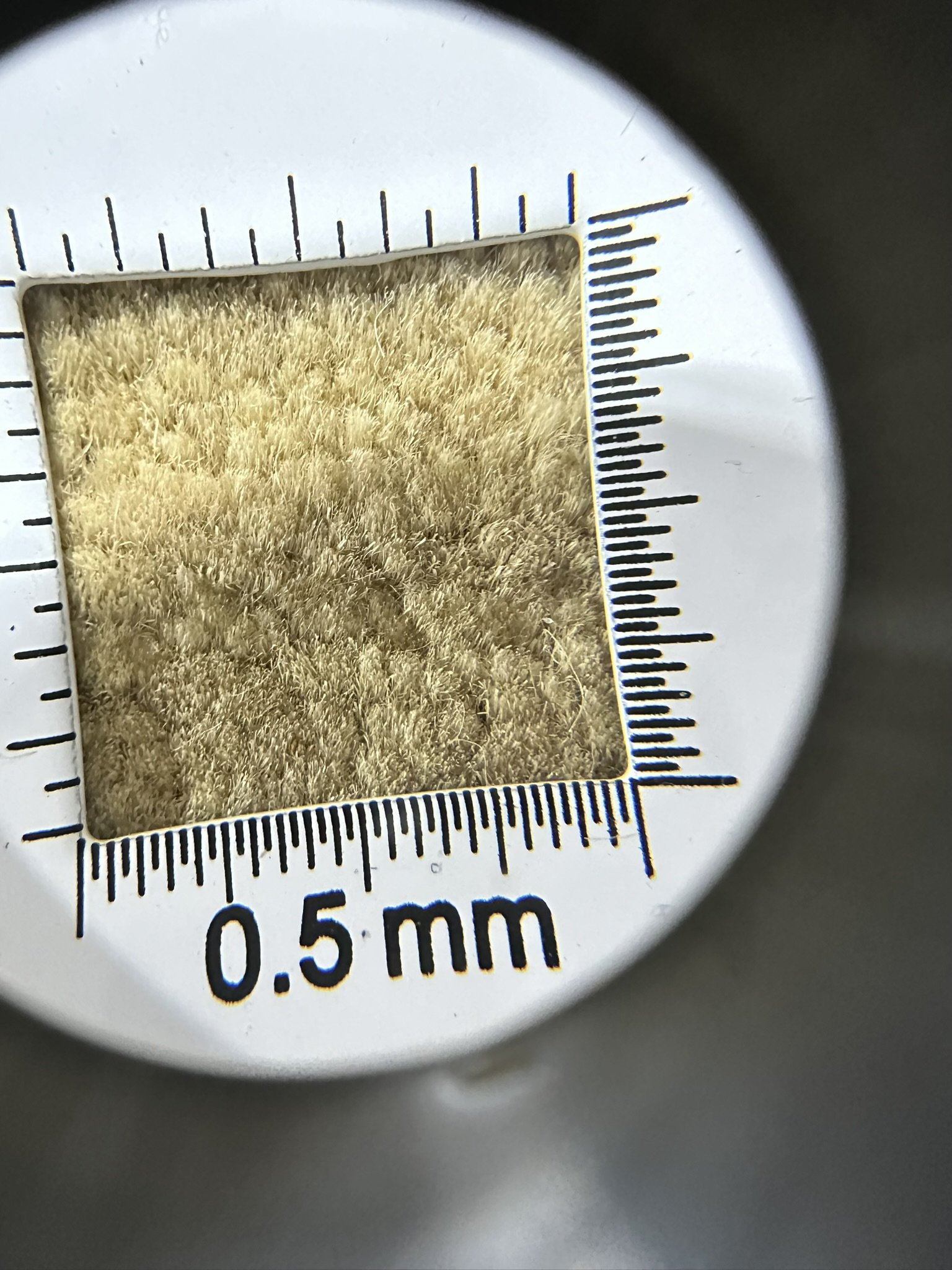 3.  Document the details