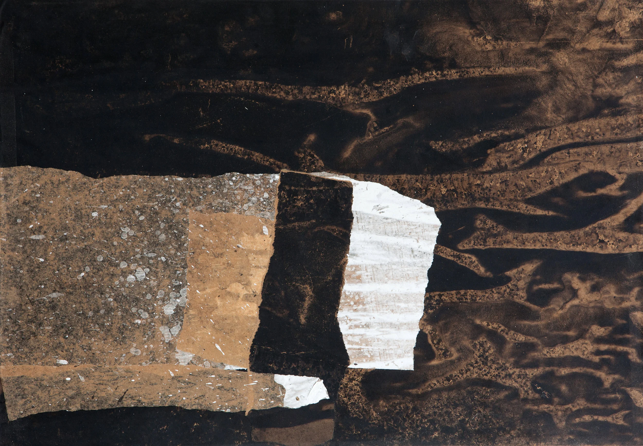   Naturaleza V  Collage 70 x 100cm, 2018 
