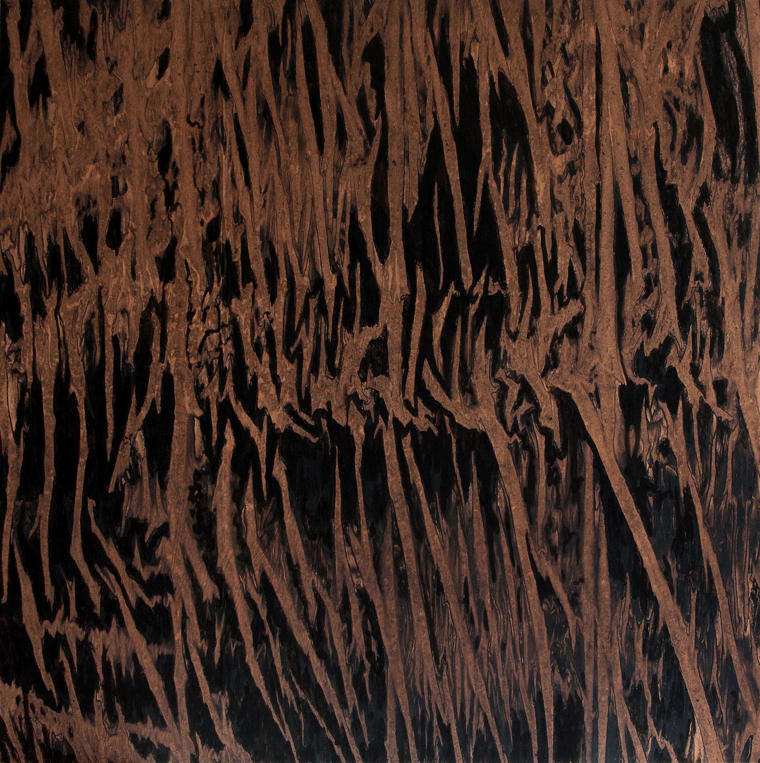   Naturaleza XIII  Ink on paper  150 x 150cm, 2017 