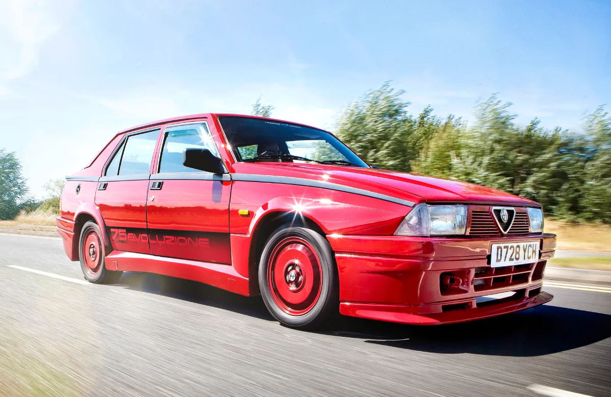 alfa-web2.jpg