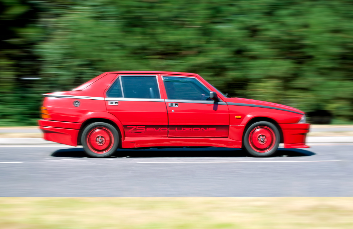 alfa-web.jpg