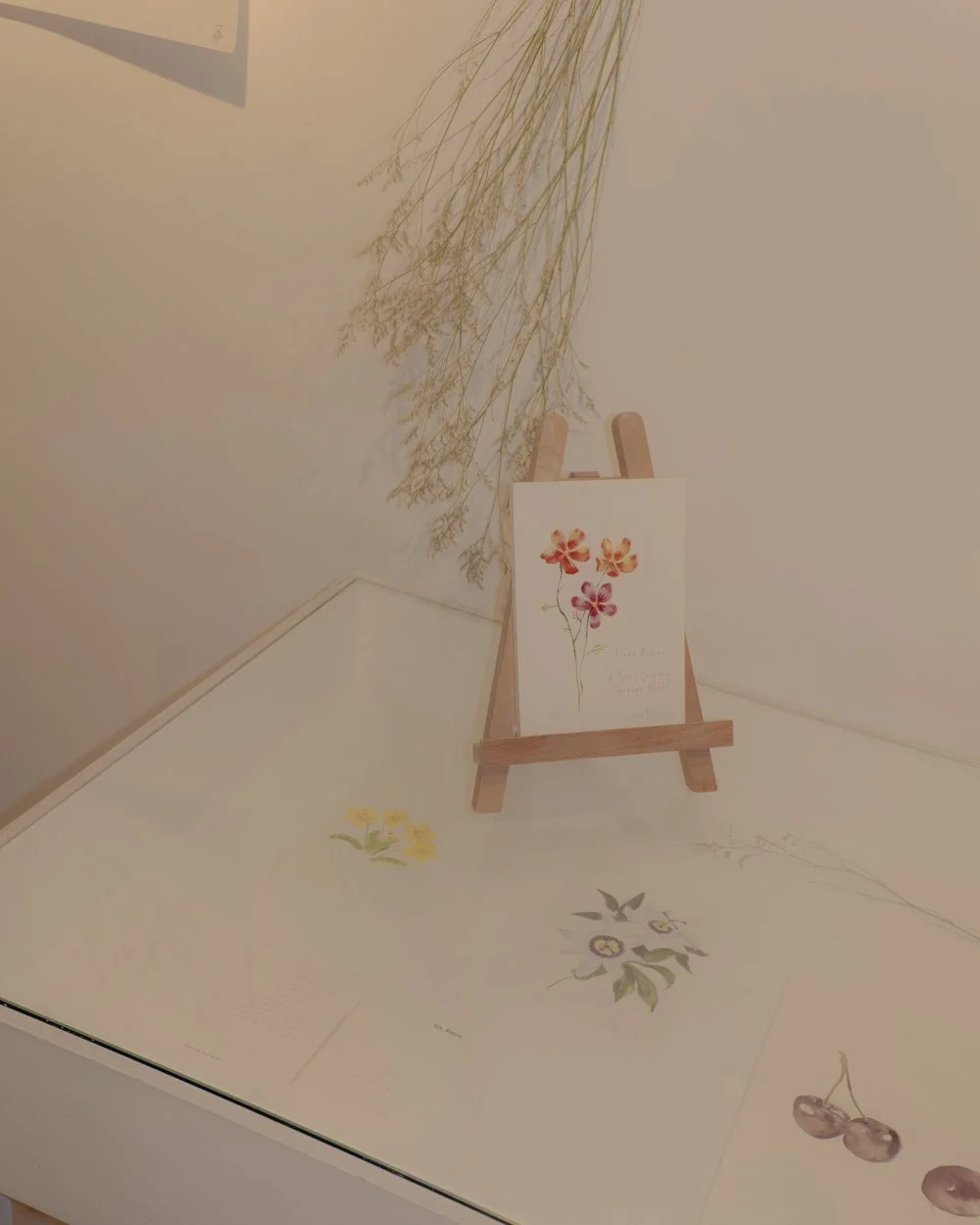 peperdigao_linabou_OFR-3972 2.jpg