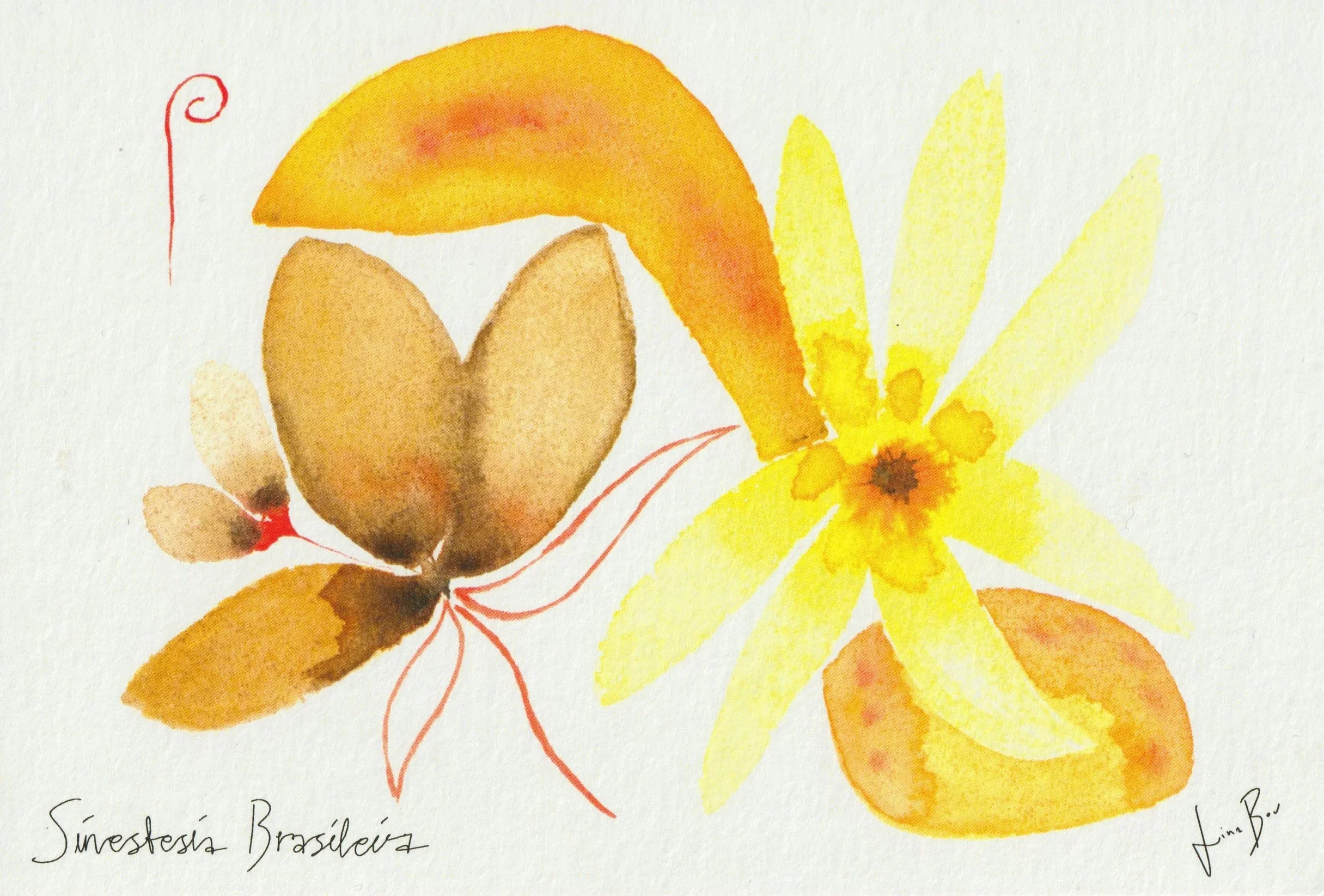 sinestesia+brasilera+postcard.jpg