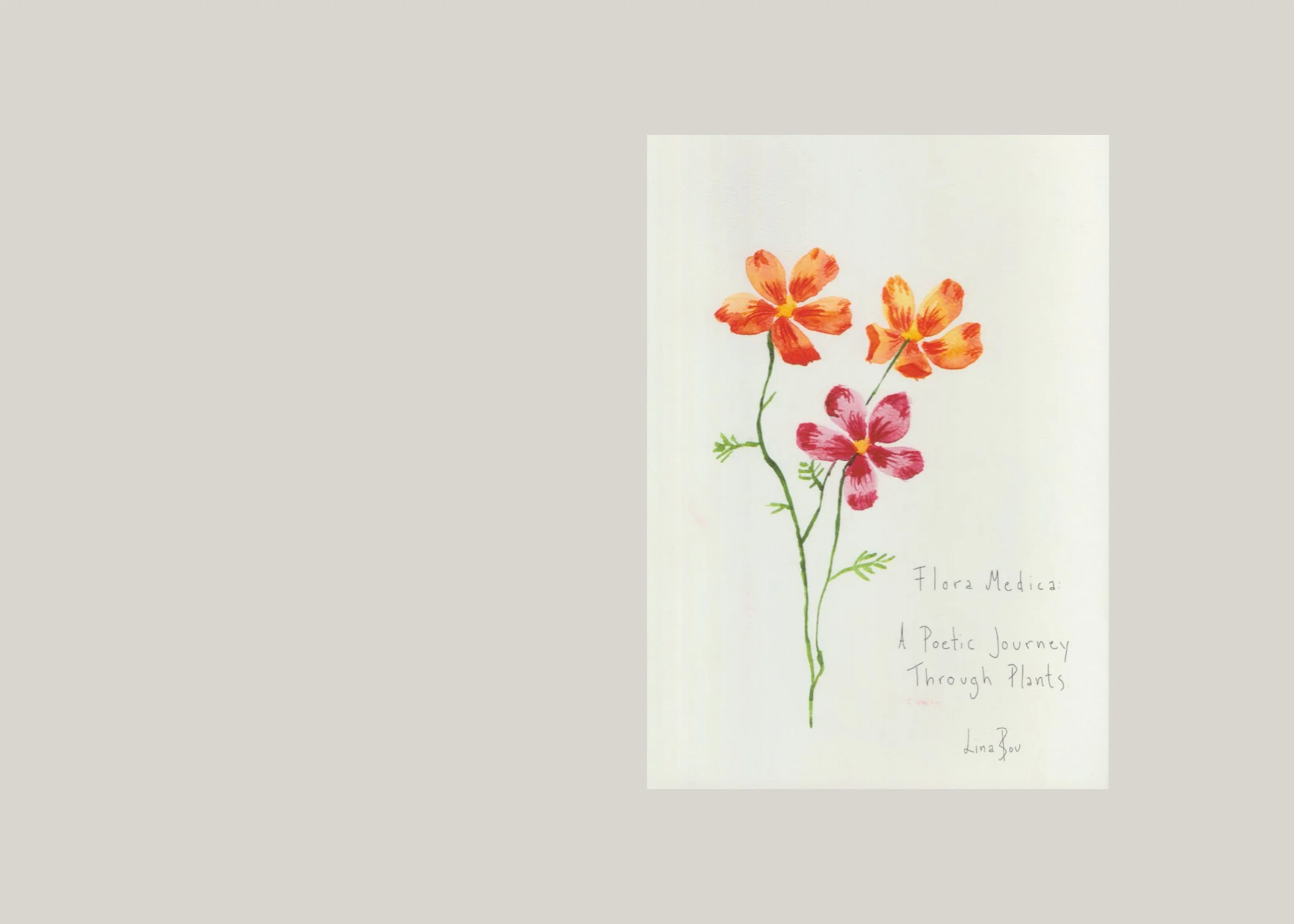 Ofr postcard book 2024.jpg