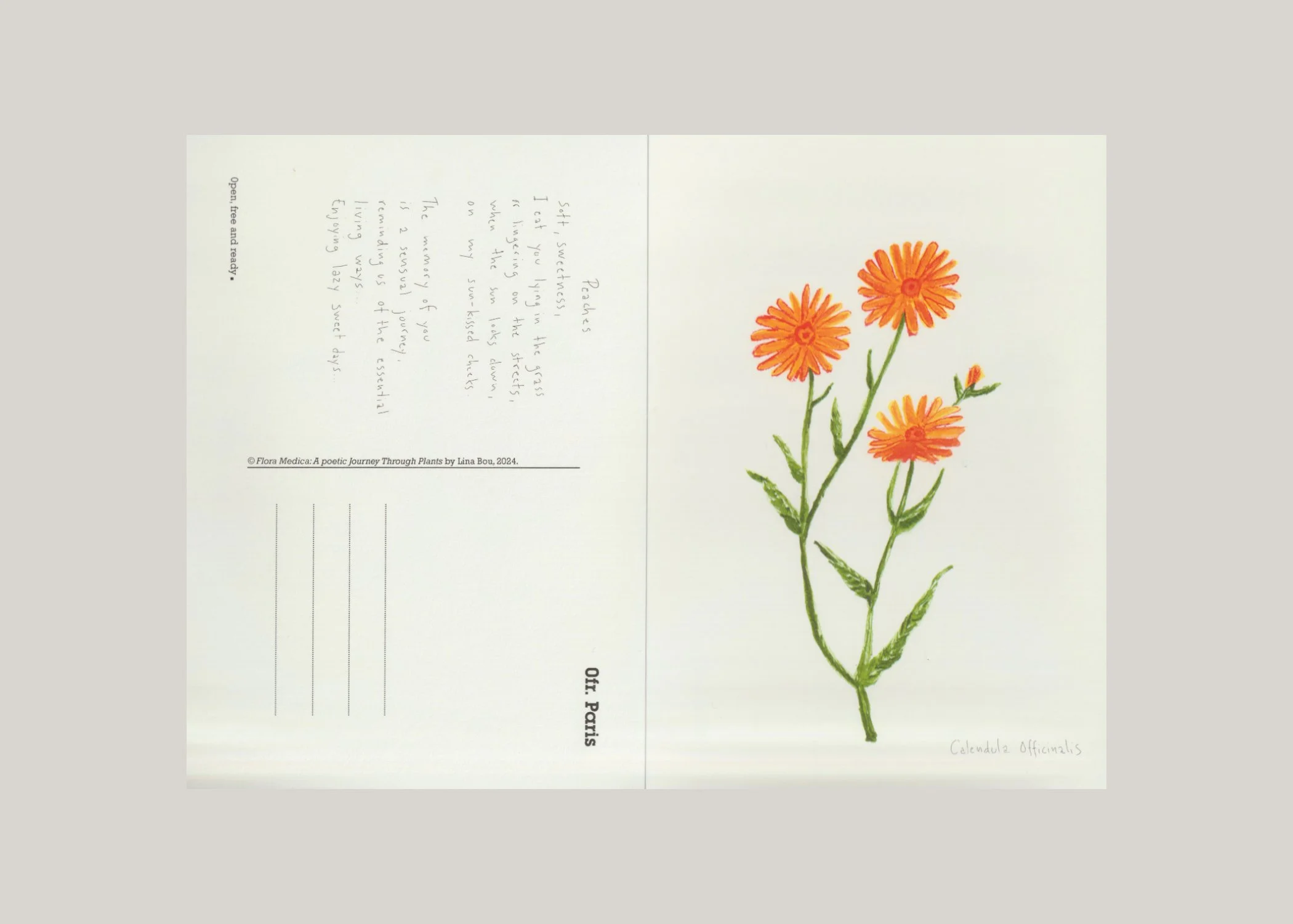 Ofr postcard book 2027.jpg