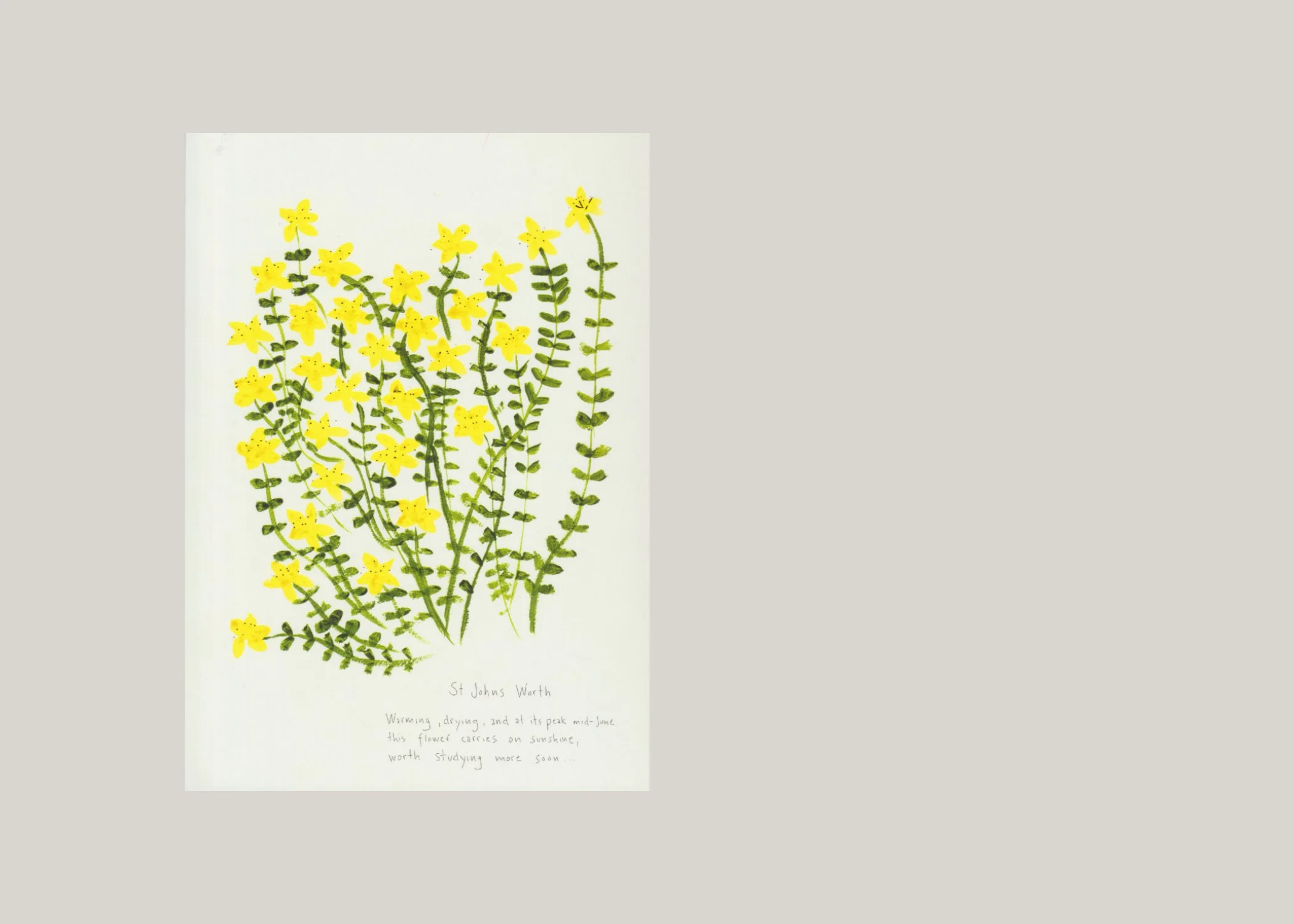 Ofr postcard book 2028.jpg