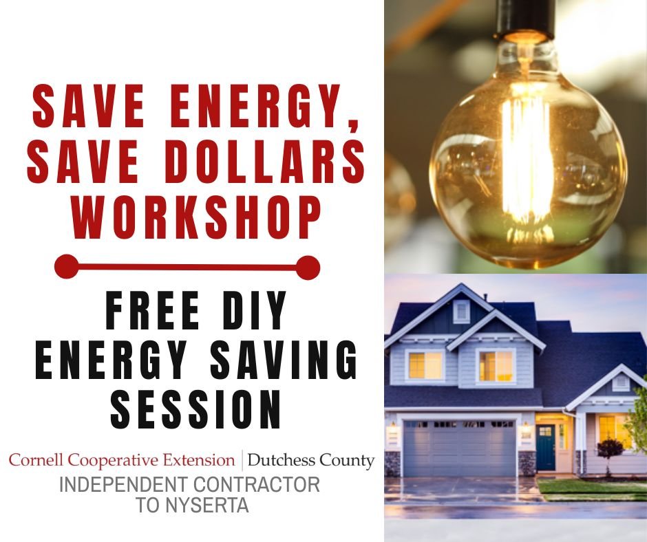 Dutchess: Beacon Library Saving Energy, Saving Energy Workshop