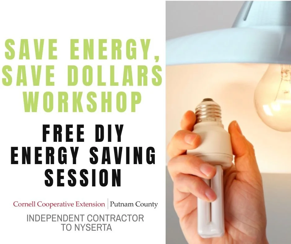 Putnam: Desmond-Fish Library Saving Energy Save Dollars Workshop