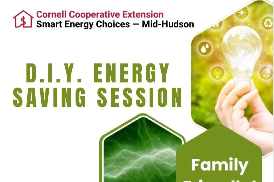 Rockland: West Nyack Free Library D.I.Y. Energy Savings Session