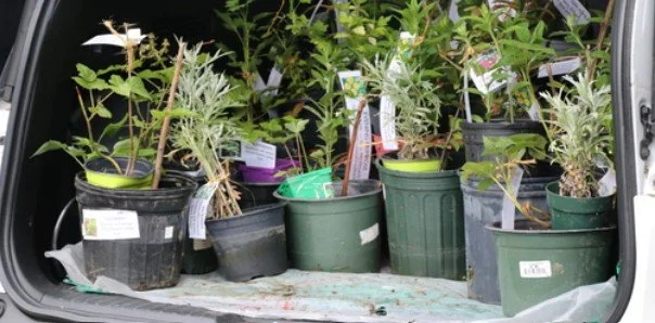 Ulster: Annual Master Gardener Program Great Plant Swap and Sale