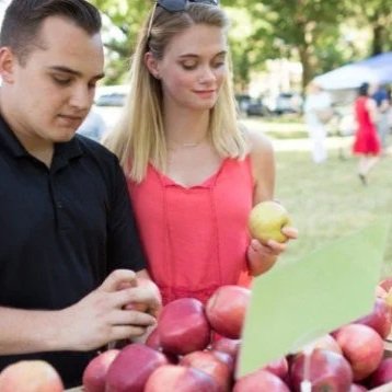 Dutchess: Arlington Farmers Market 