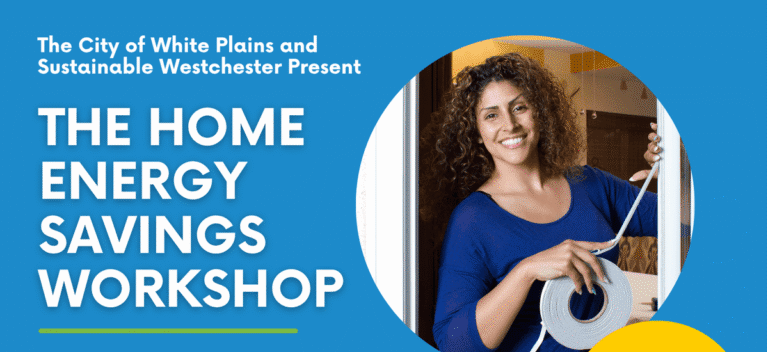 Westchester: WPEACE Energy Kit Session at WPPL