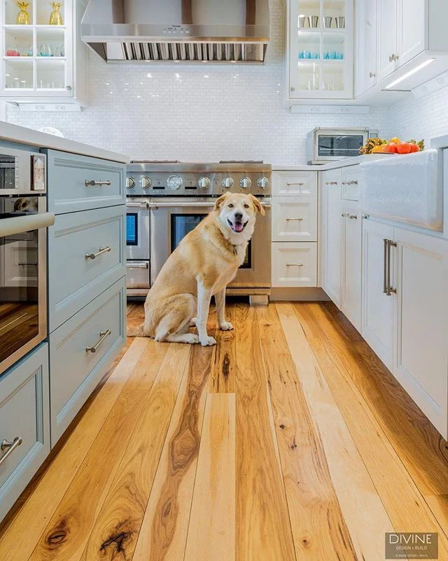 With this #CharlestownMA kitchen we were able to make all members of the family feel right at home ... even the 4-legged ones!⠀
.⠀
.⠀
.⠀
#designblog #designer #designporn #designideas #decoration #decorating #moderndecor #homedecor #livingroom #livin
