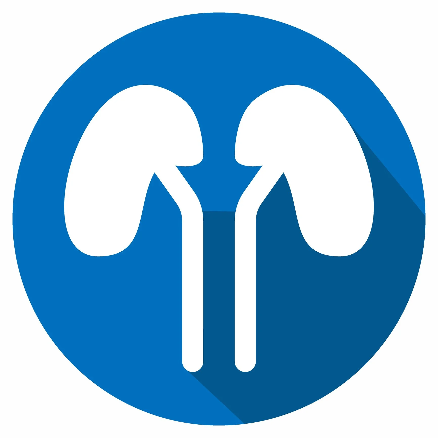 Fresenius Kidney Care: Advancing Renal Care for More Than 190,000 Patients