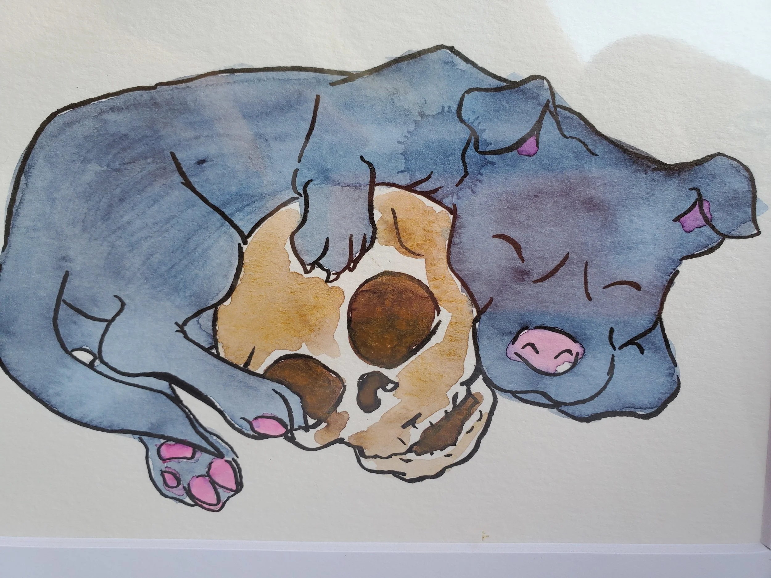 puppyskull3.jpg