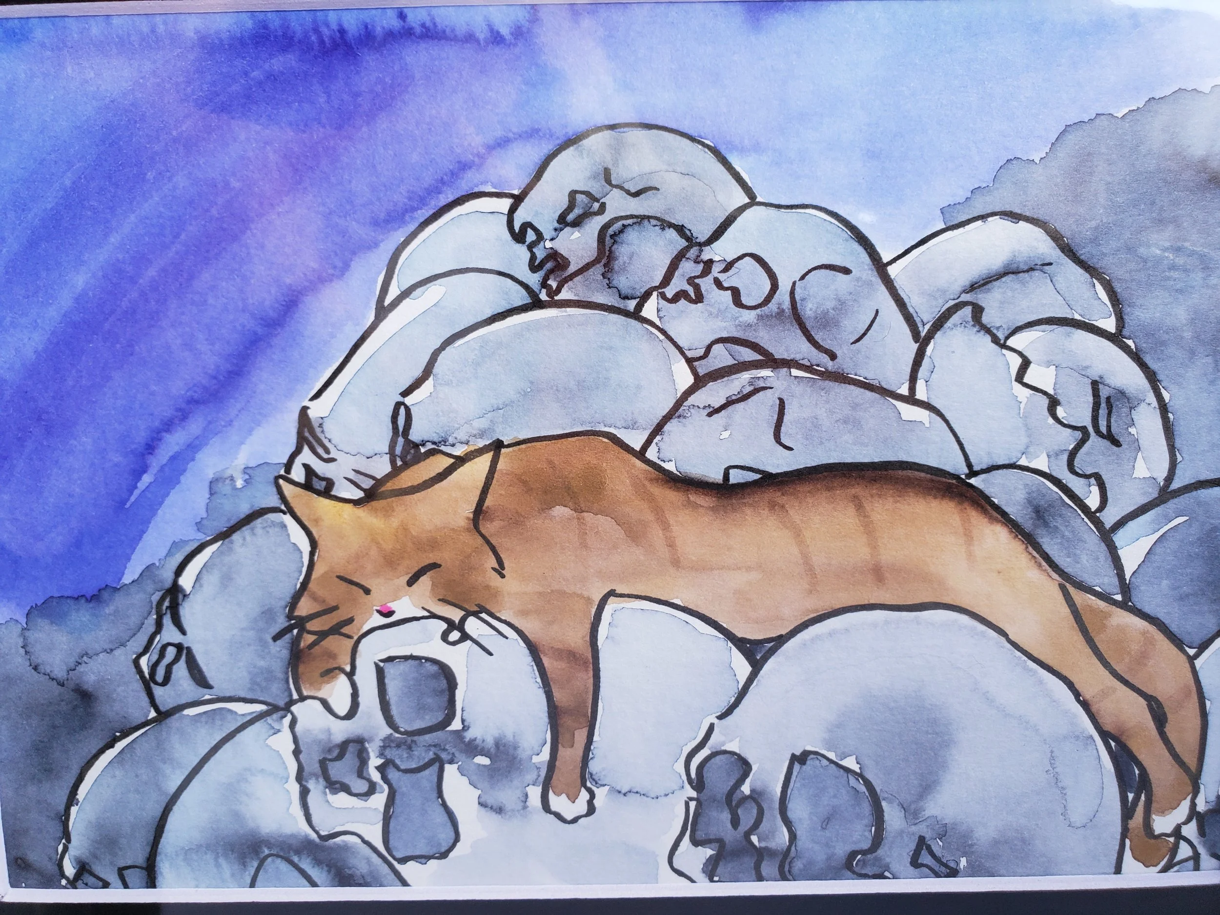 catsleepyskulls1.jpg