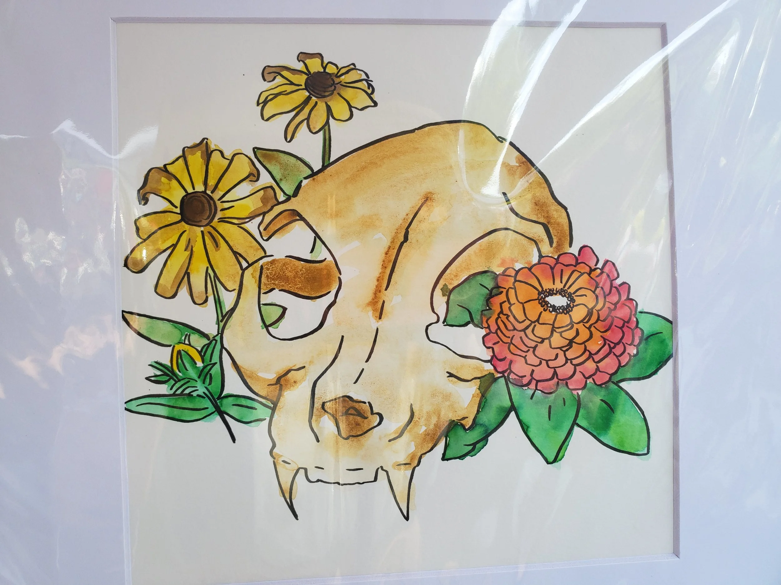 catskullpeace5.jpg