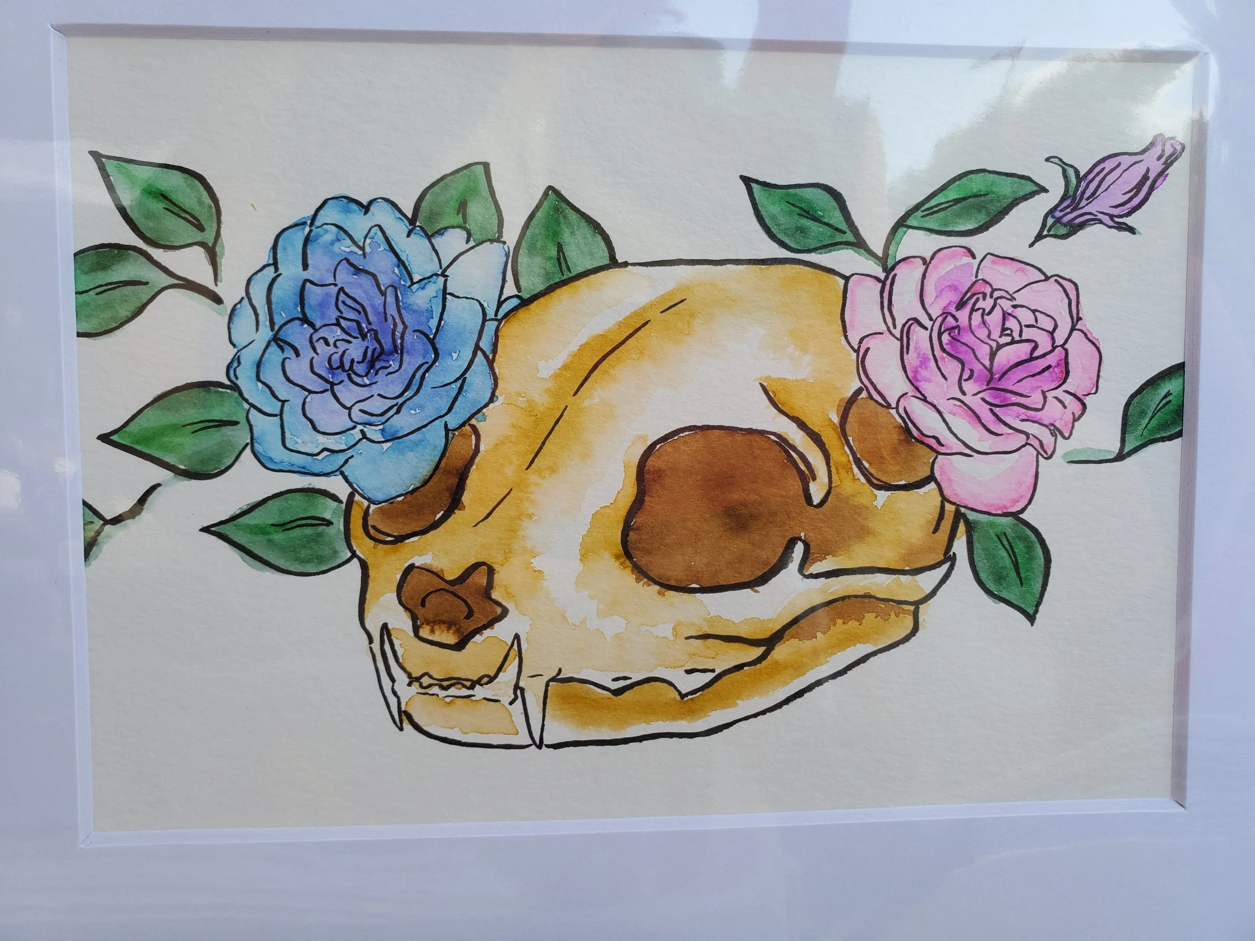 catskullfriend1.jpg