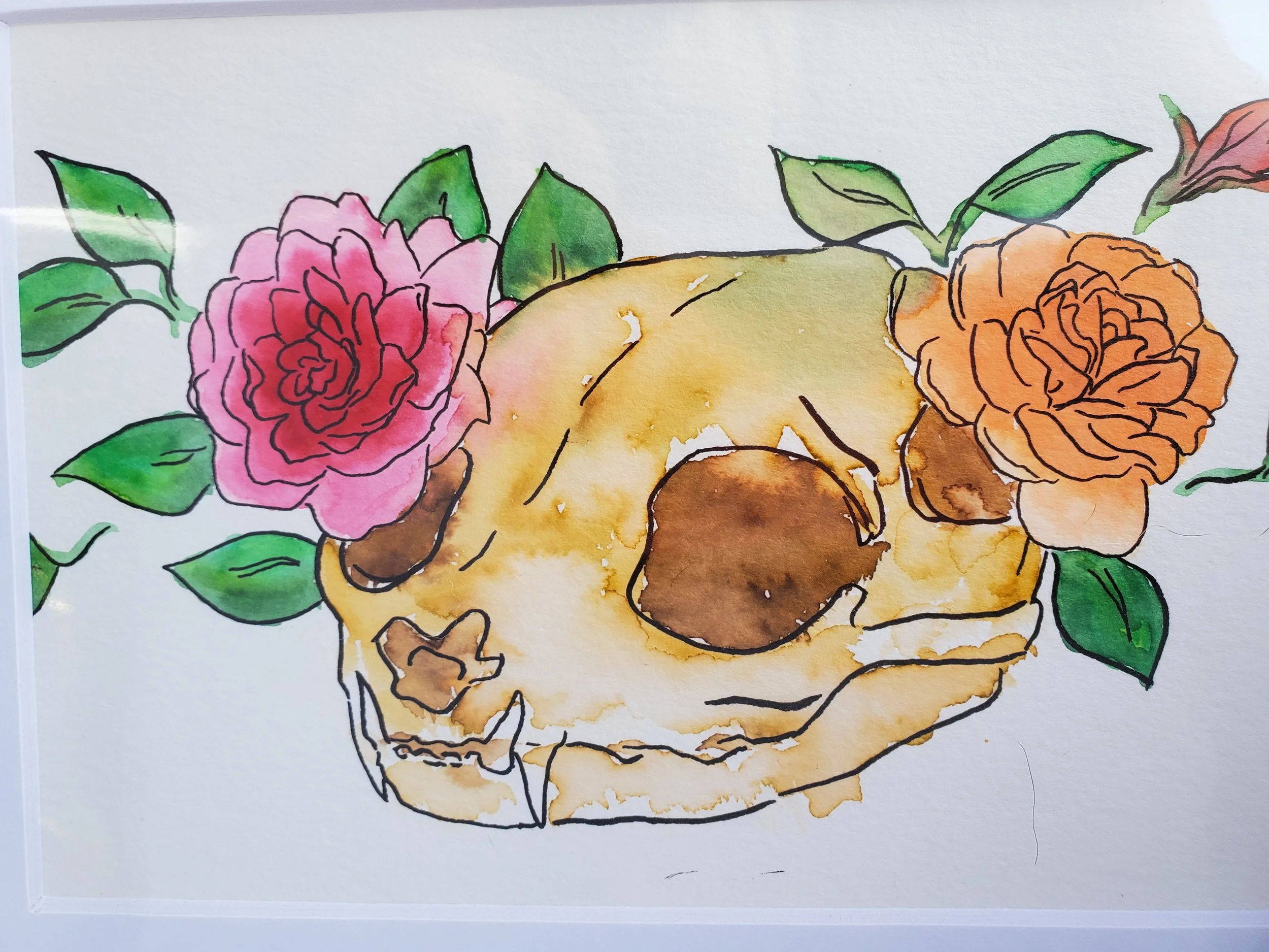 catskullfriend2.jpg