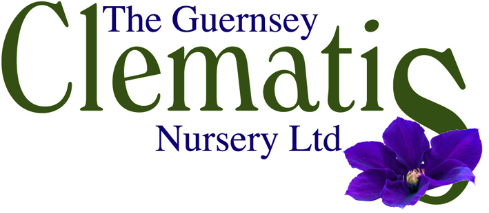 The Guernsey Clematis - Logo.jpg