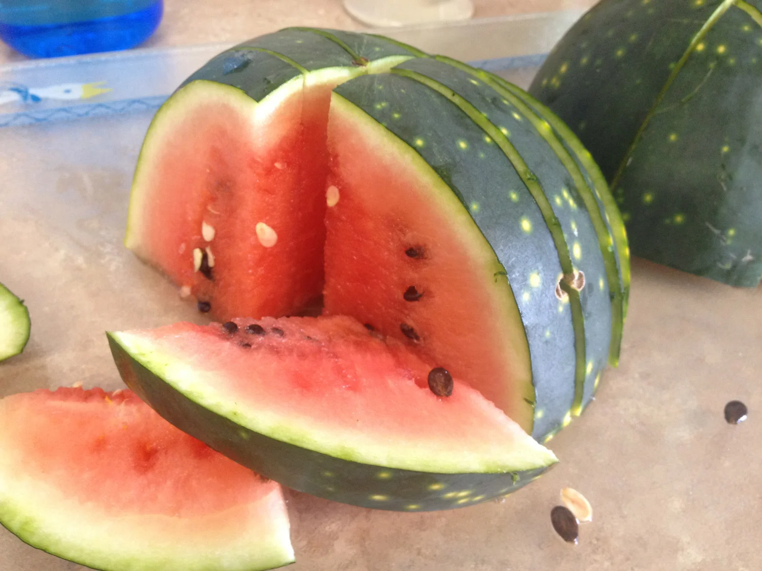 RobertsFarm_SlicedWatermelon.jpg