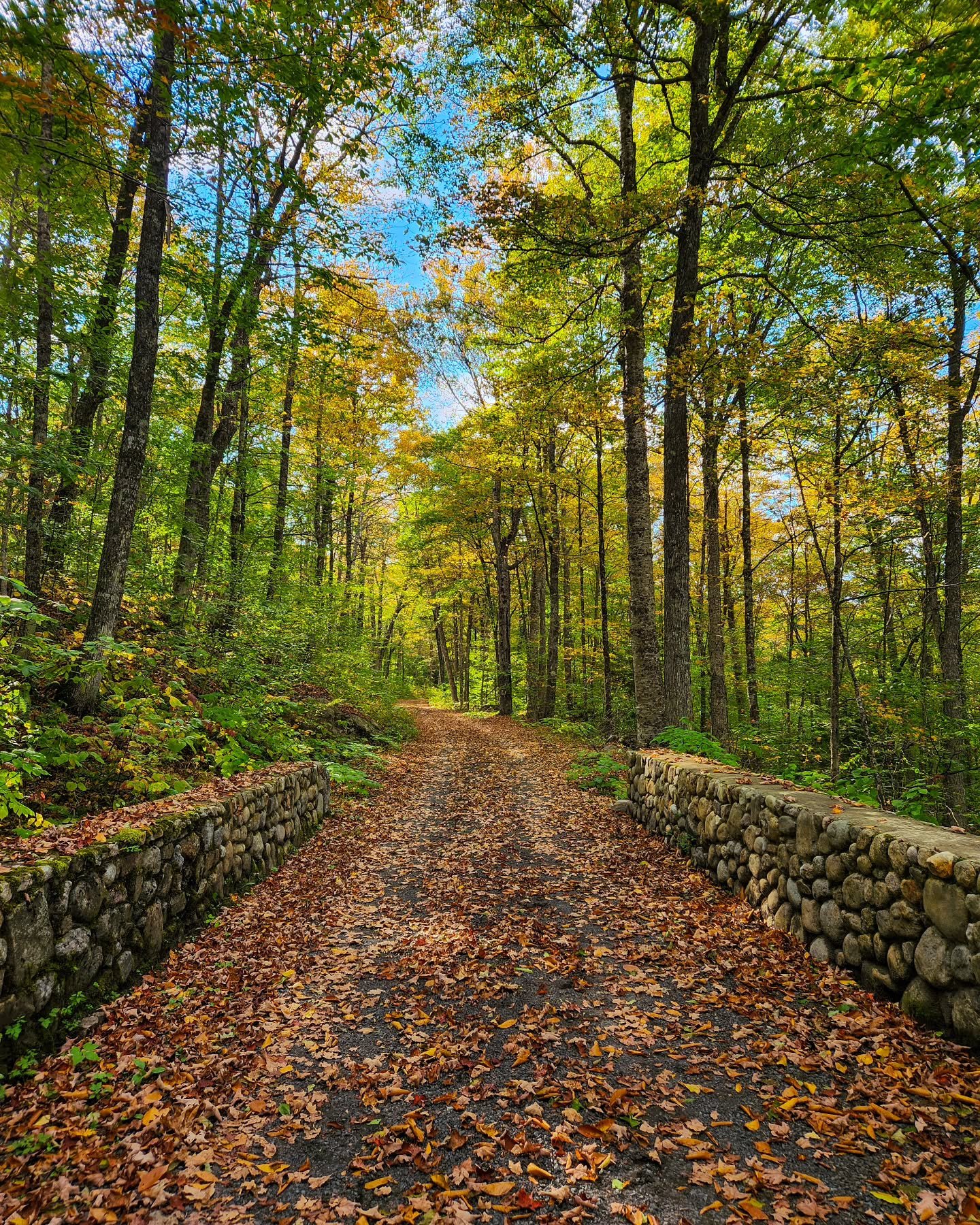 There is so much to do this Saturday in Newcomb! 

🍁 Attend free tours at the Main Camp at 11 am, 1 pm, and 3 pm. The 4.5-mile Santanoni Road is a beautiful fall hike or bike ride, or contact Newcombe Farm at 518-480-1743 to reserve a seat on the ho