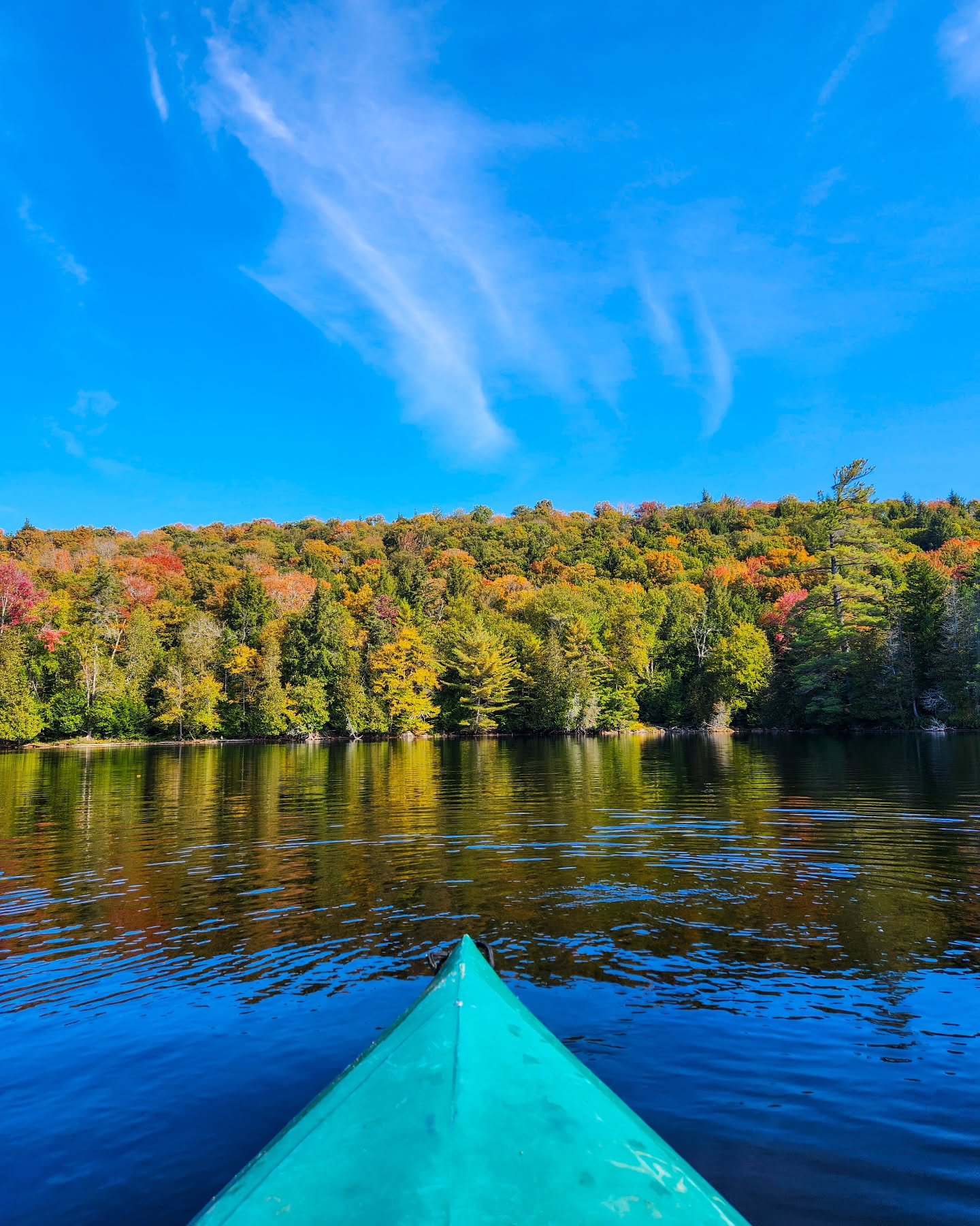 Good morning, Adirondacks! It looks like we're headed back towards fall temperatures this week, which means great leaf-peeping weather!! 🍂 

📸 a view of the forest from Newcomb Lake from Wilkes 

#adk #leafpeeping #fallcolors #adirondackfall #autum