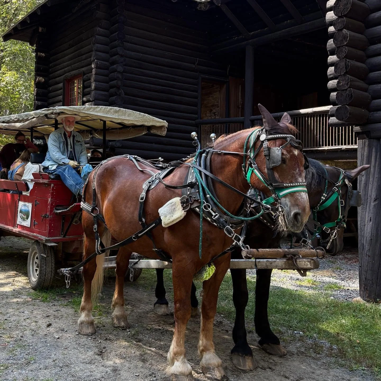 We&rsquo;ve had space open up on tomorrow&rsquo;s free wagon into Main Camp. Contact santanoni@aarch.org to claim a spot. The wagon leaves at 8:30 a.m. from the Santanoni Gate Lodge complex.