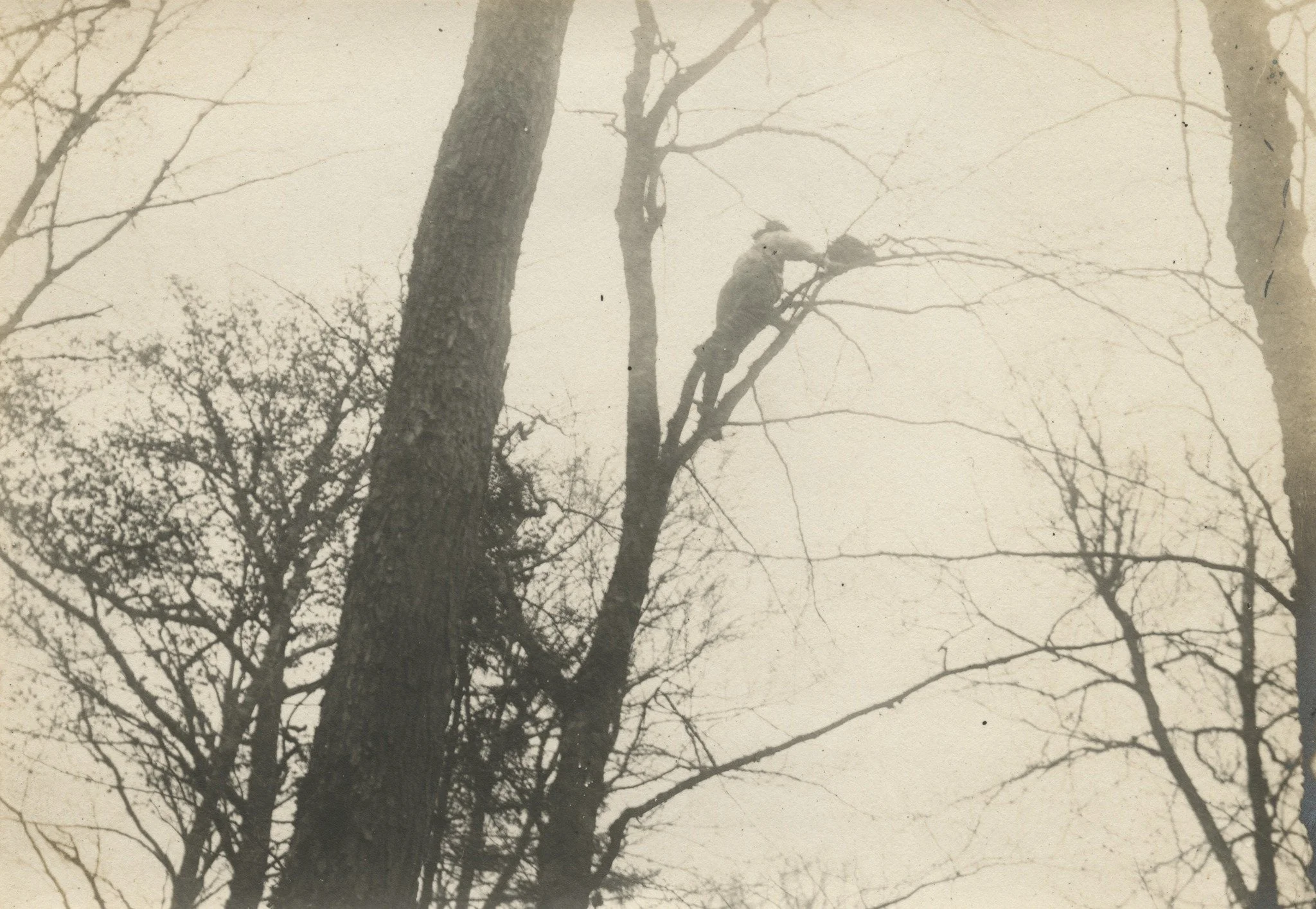 President Theodore Roosevelt had many connections to the Adirondacks, including to our own #GreatCampSantanoni! We're excited to participate in TR Weekend again this year and share stories about Roosevelt's visit to the Great Camp in 1899. Although r