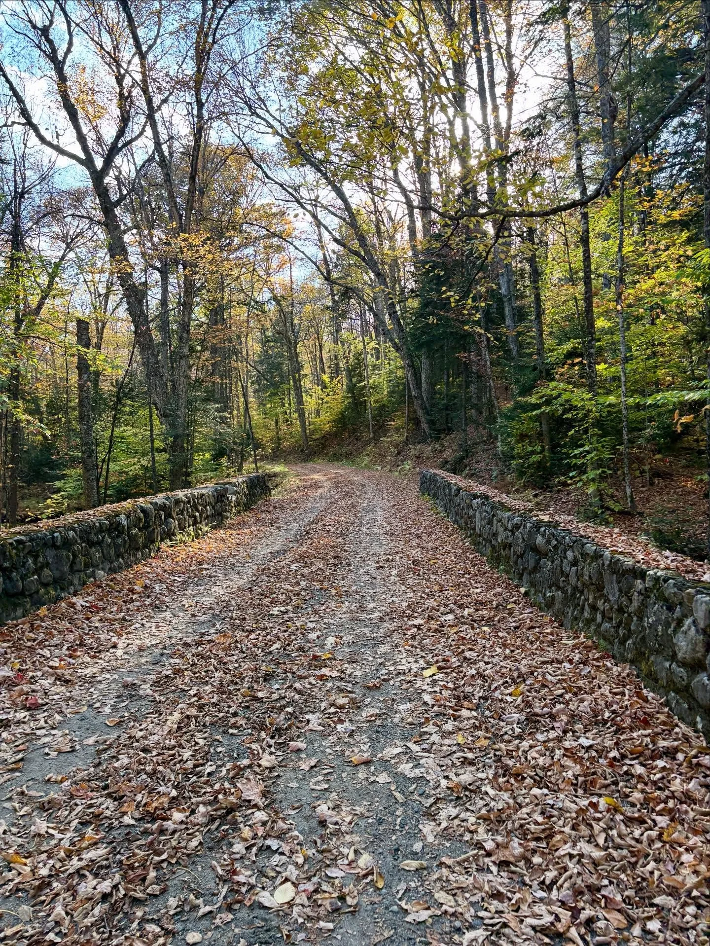 Our tours have wrapped up and the #CampSantanoni buildings are closed for the year, but that doesn’t mean you can’t still visit! The Santanoni Preserve is open 365 days a year. Go to our website, greatcampsantanoni.com/fall-winter-spring