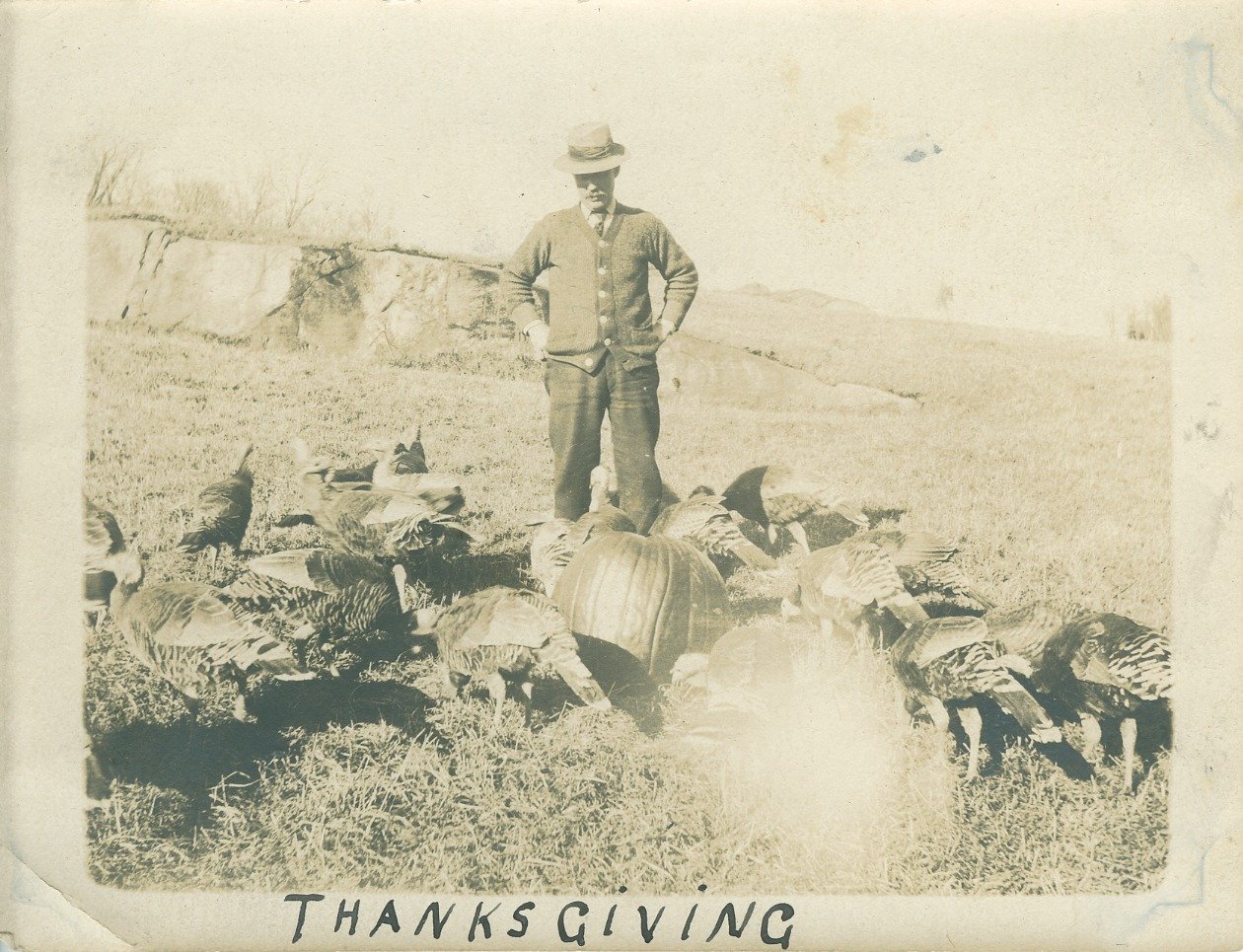 Happy Thanksgiving from Great Camp Santanoni!
In this #ThrowbackThursday scene from the Santanoni Farm, Lew Kinne, the former farm manager, supervises the resident turkeys.
🦃🦃🦃
We are grateful to all of the Friends of Camp Santanoni who spent time