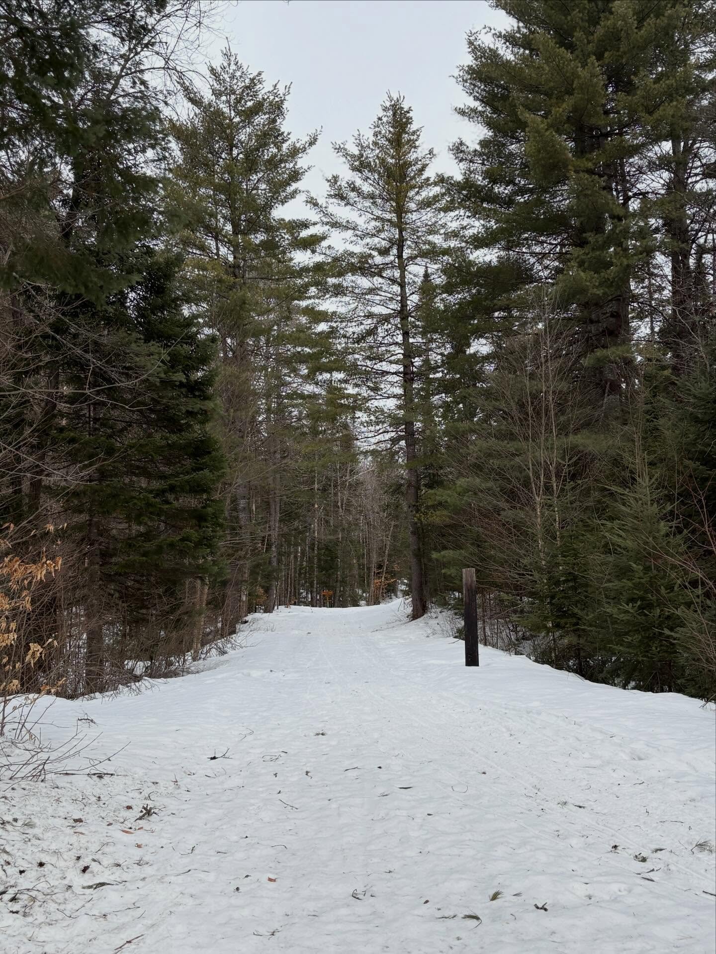 A snowy trail awaits you at #WinterWeekend! There are few slick patches but more snow on the way, just in time for hot drinks at the Artist&rsquo;s Studio and a tour at the #CampSantanonj Main Lodge. Visit us between 10 am and 3 pm Saturday, March 14