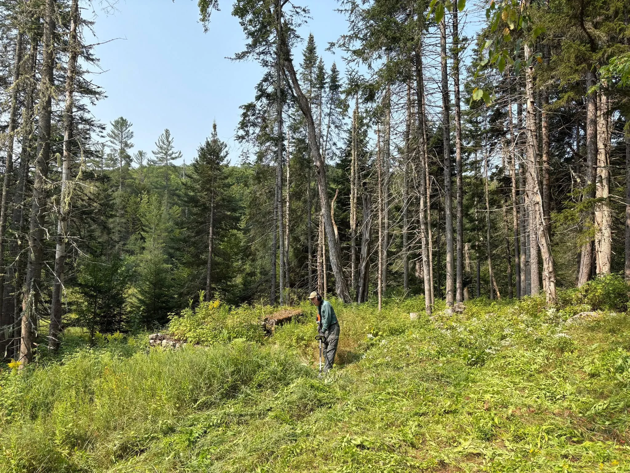 Join us for our first #CampSantanoni Farm Landscape Work Day of the summer this Thursday, July 9!

We could use your help removing invasive plants, cutting saplings and helping to maintain the open space of the Santanoni Farm. 

Meet at the trailhead
