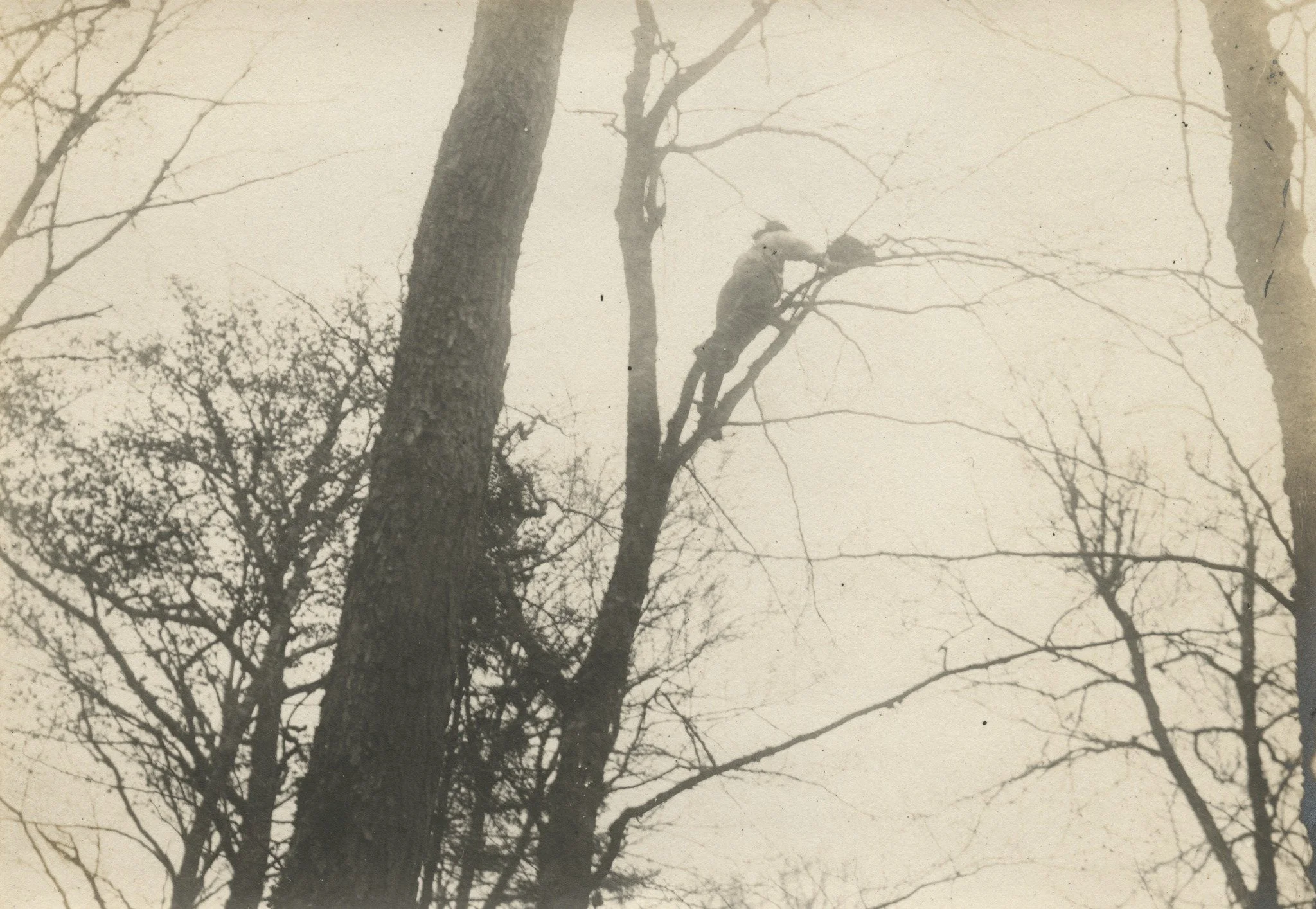 We're so excited to be a part of this year's TR Weekend in Newcomb! This special, 125th anniversary celebration of Theodore Roosevelt's famous Midnight Ride kicks off next weekend!

We will have Main Camp tours at noon on Friday, Saturday and Sunday 
