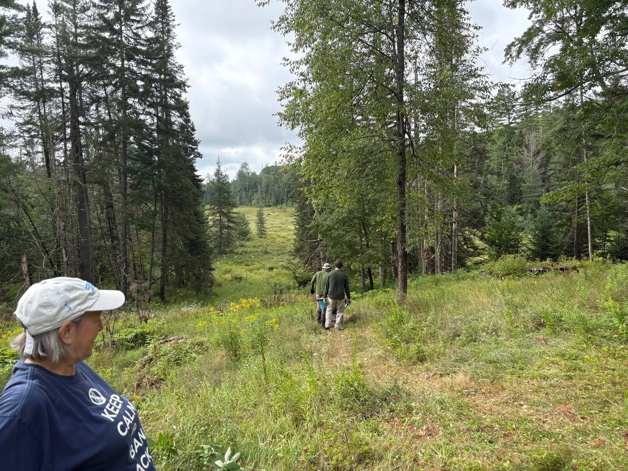 We have just one more Farm Landscape Work Day this year! 

Join us next Thursday, Sept. 24, in maintaining the open landscape of the Santanoni Farm! We'll meet at the trailhead at 9:30 a.m.  Dress for variable weather and wear sturdy shoes. Any lands