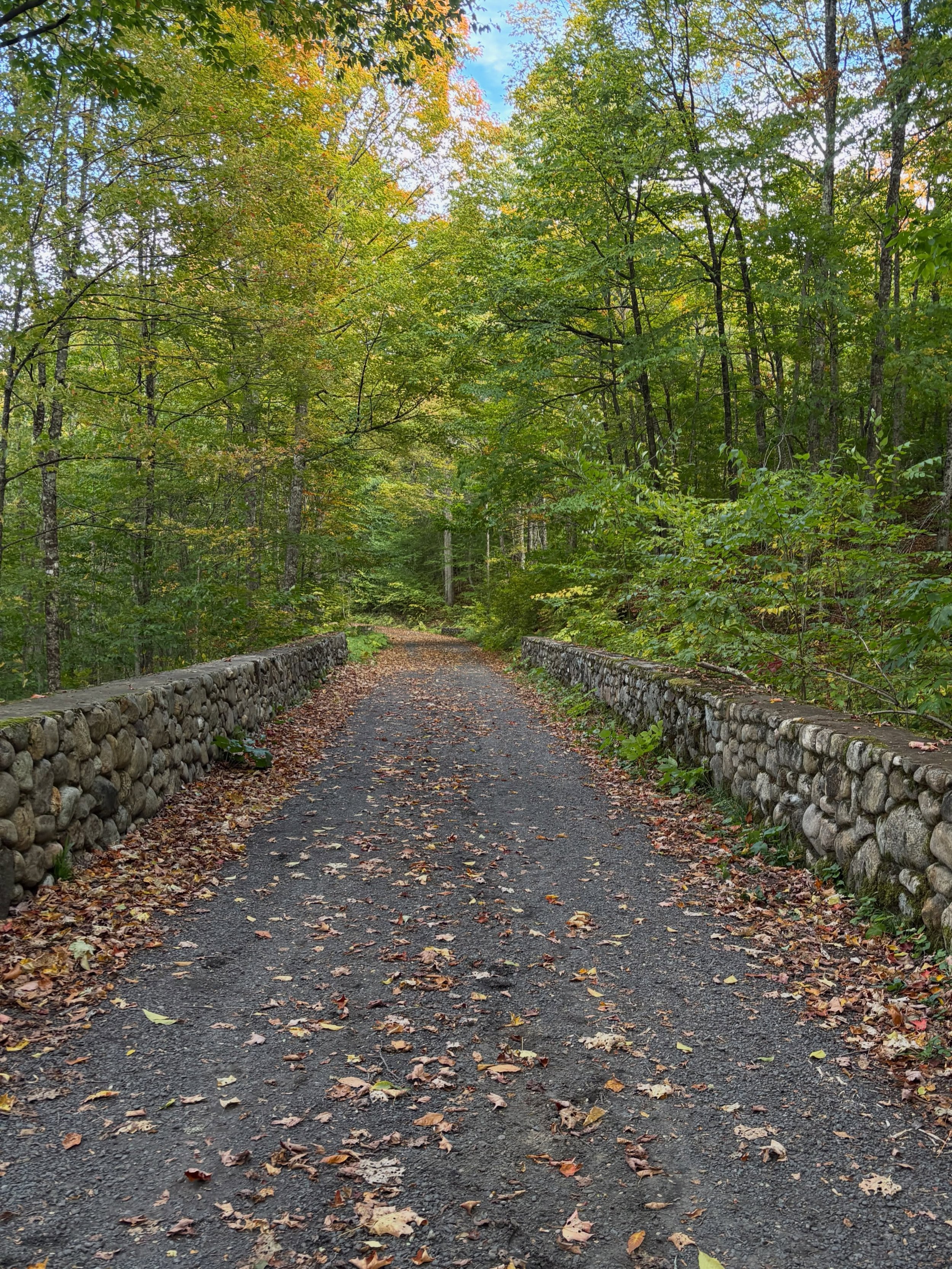 The colors are taking center stage at #GreatCampSantanoni! Catch them while you can! 

Tours continue Fridays through Sundays and holiday Mondays through Oct. 12. 

Hike, bike, take the Newcombe Farm wagon or catch a ride on a mobility device to see 