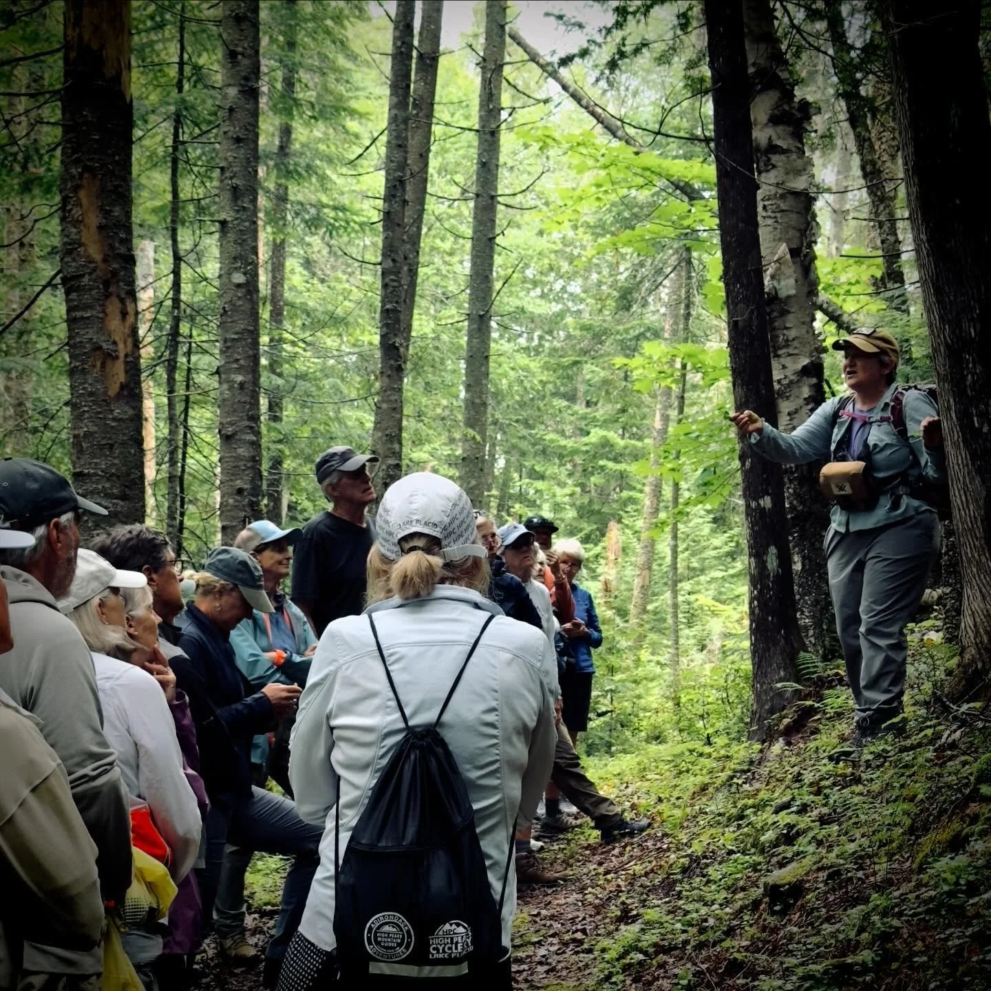 Learn more about some of the fascinating plants along the Santanoni Road during a free nature walk next Saturday!

Newcomb Guide Charlotte Demers will lead a morning nature walk to the Santanoni farm beginning at 9:30 a.m. on Saturday, Oct. 10.  Part