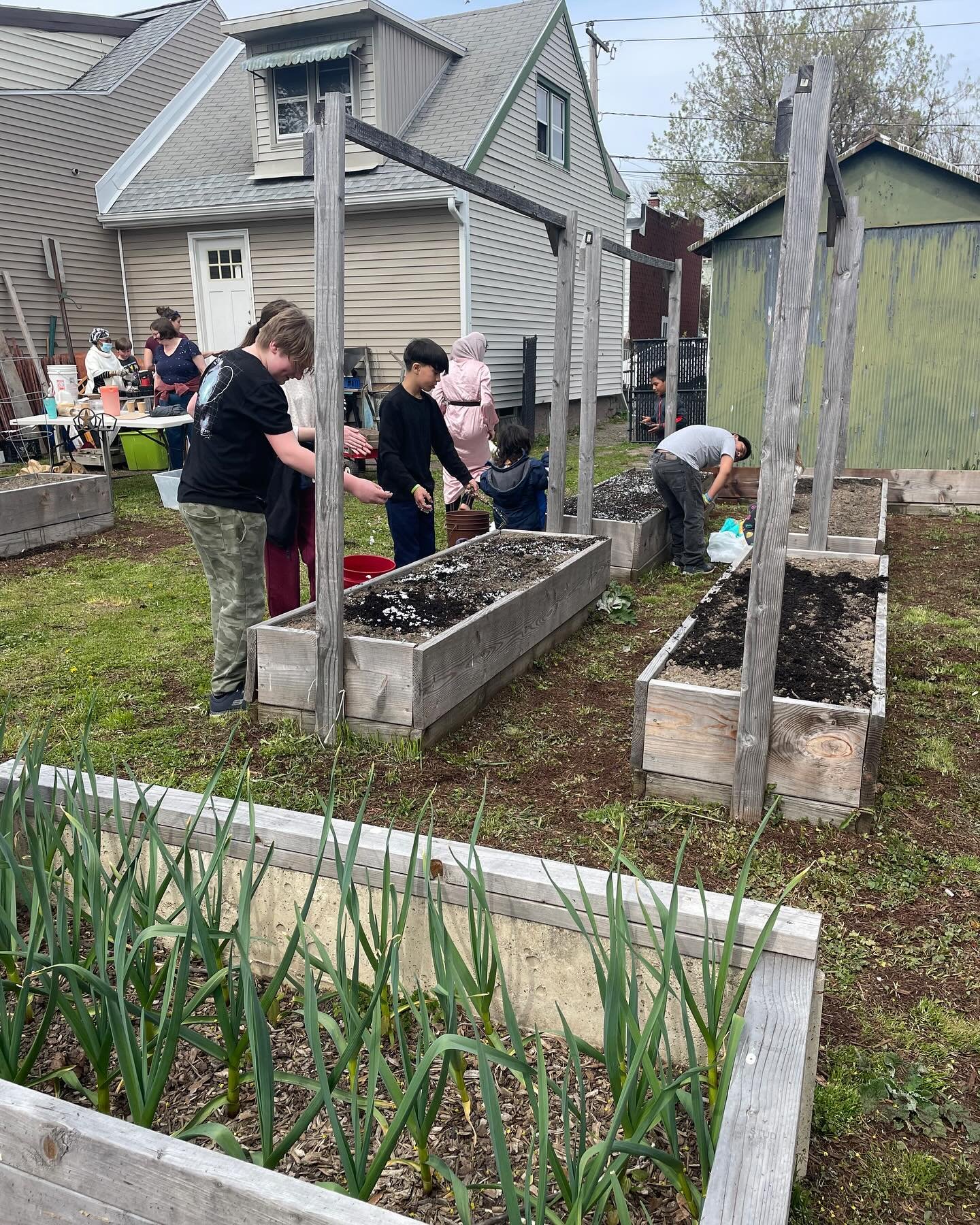 Some pictures from our Gardening Workshop last weekend 🌱 🪴 

We learned how to plant seeds and prepare the soil in our community garden! We are very thankful to Richard D @rcdaley at Sunray Sustainability and everyone who joined!!

And thanks again