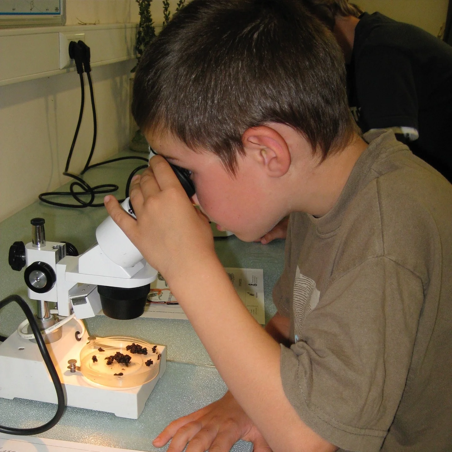 Little Mad Scientist Club is Back