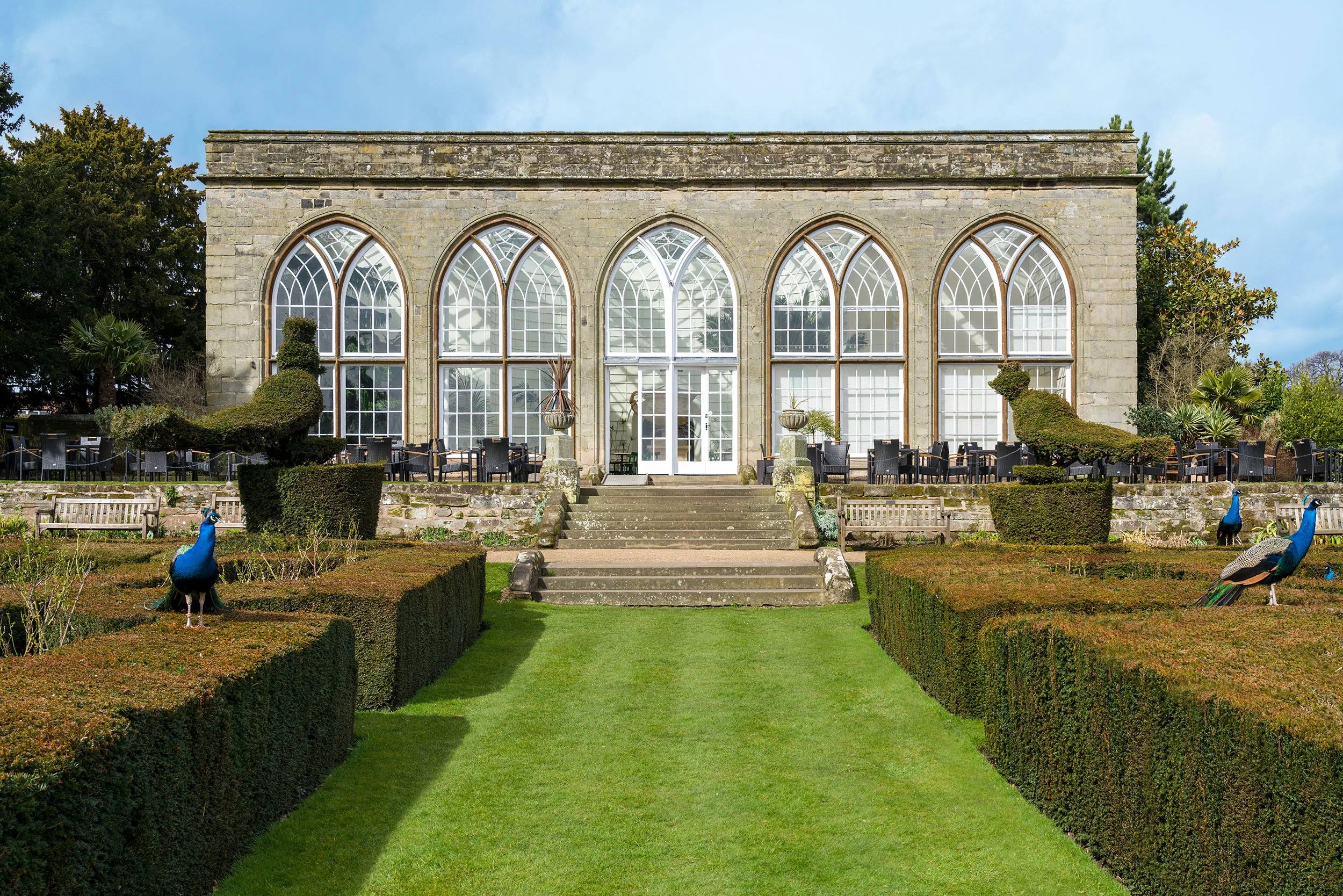 Kiwi&Pom_Conservatory_01.jpg