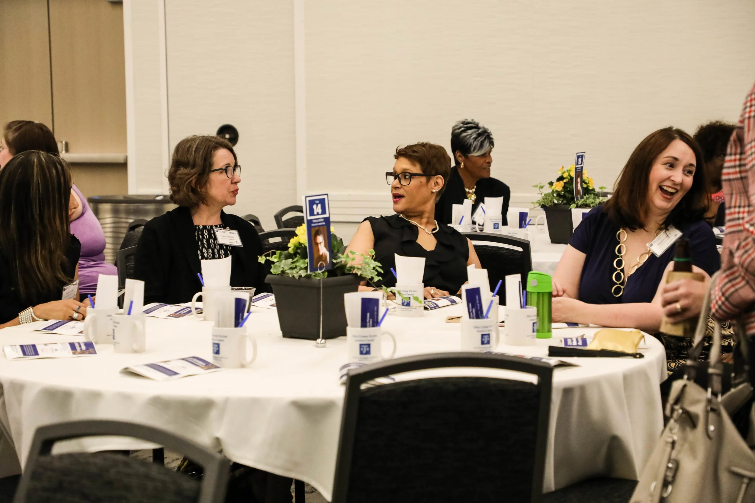 Models 2019 venica table1.jpg