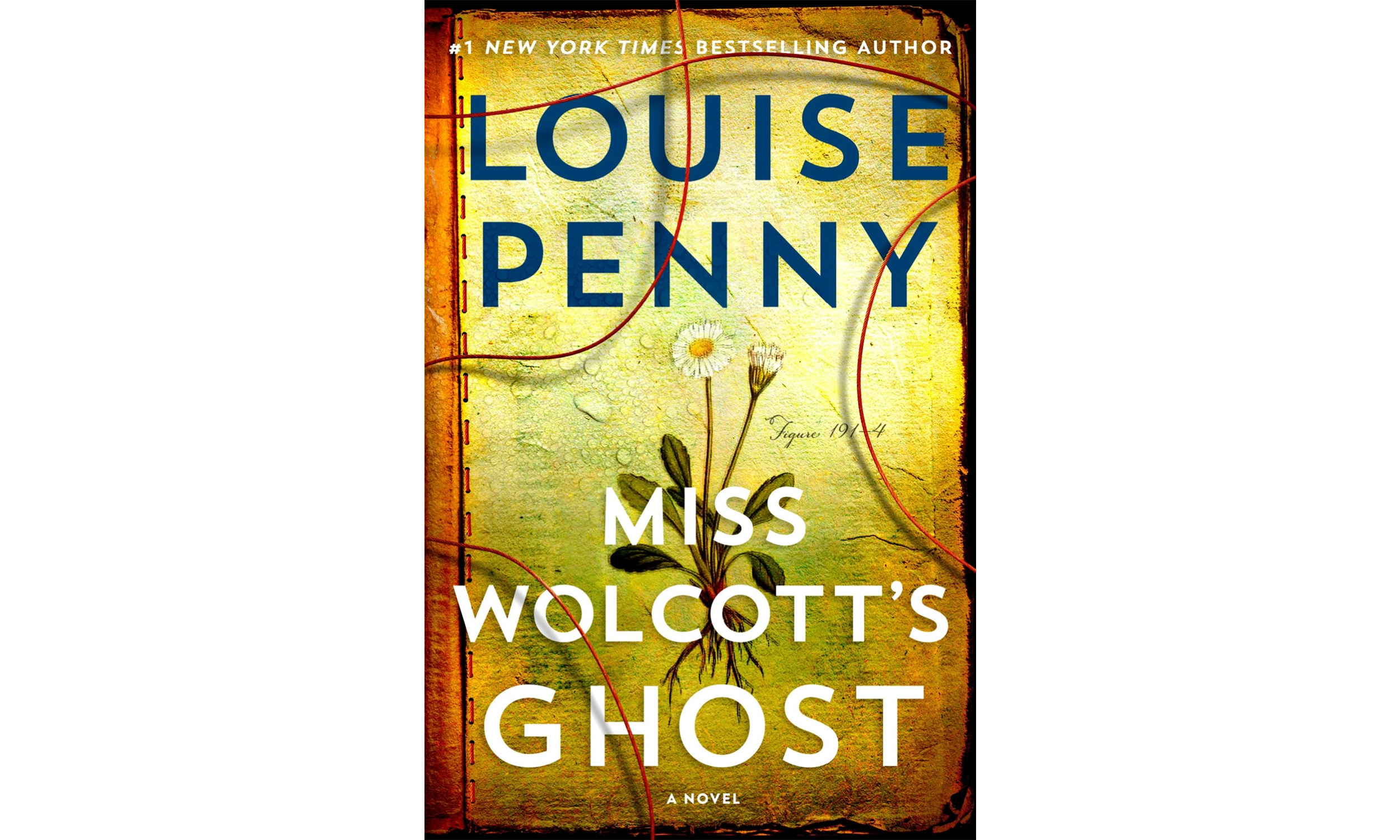 Miss Wolcott's Ghost by Louise Penny