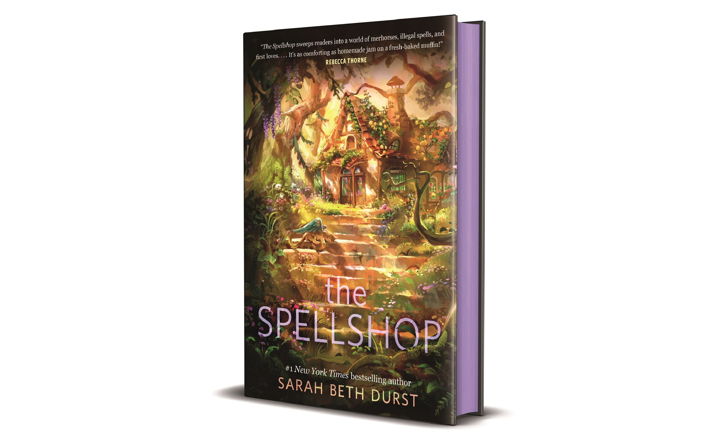 The Spellshop: A Spellshop Novel by Sarah Beth Durst