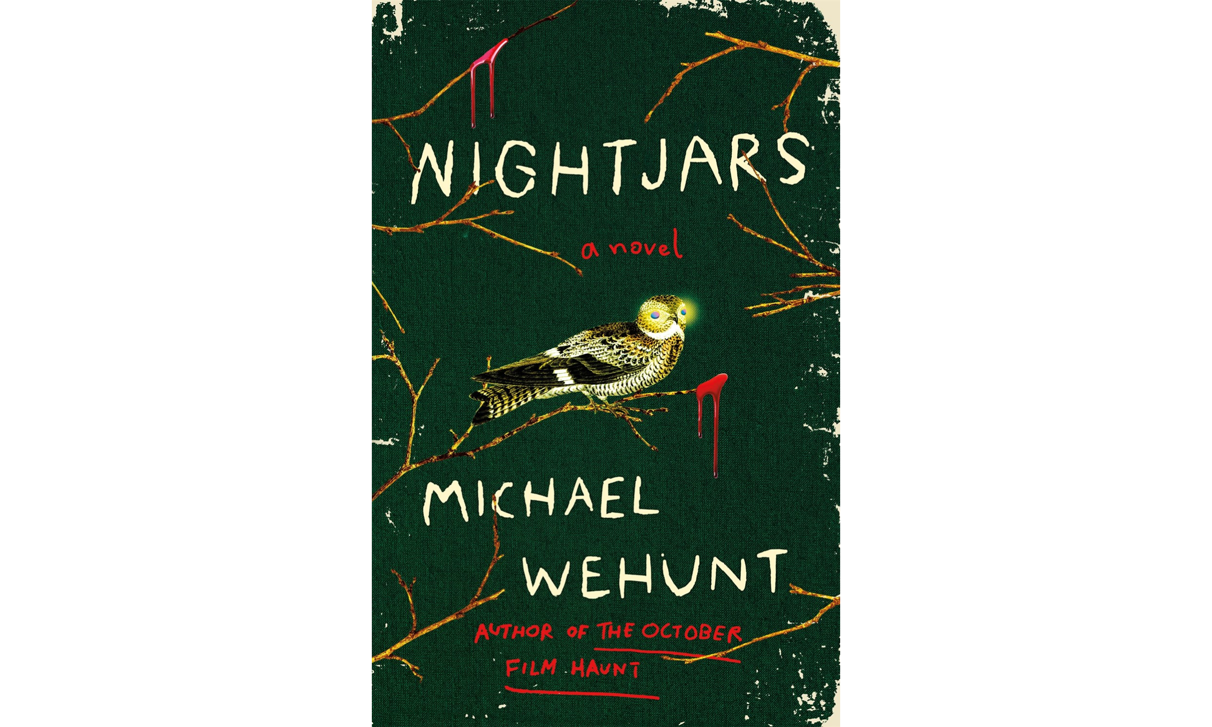 nightjars sq.png
