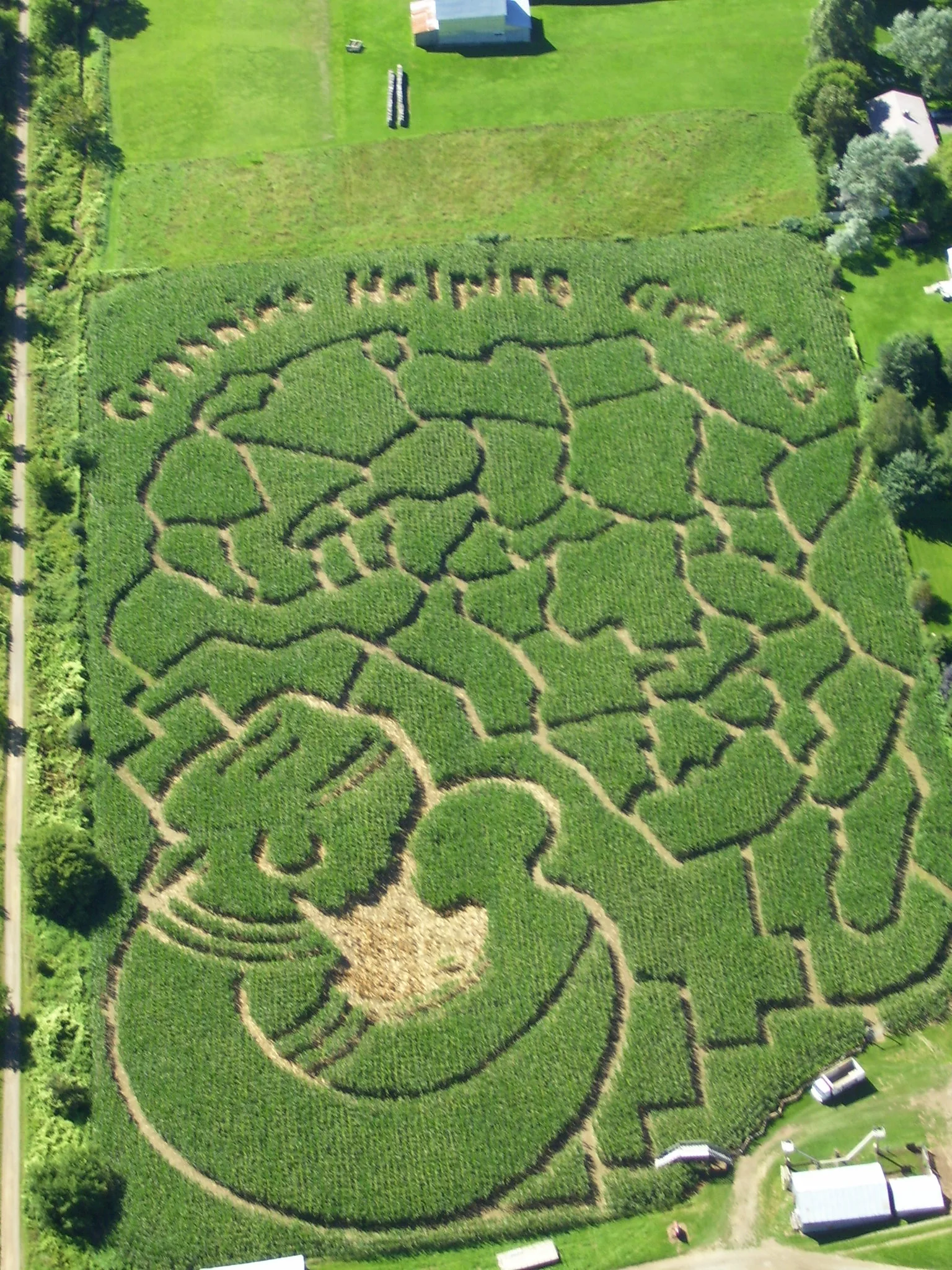 2006: Grannies Helping Grannies Our 2006 maze featured the African continent with the logo created by the Go Go Grannies in Creston, B.C. to support the Grandmothers to Grandmothers campaign. This Stephen Lewis Foundation initiative encourages Canadian grandmothers to unite and support their African peers who are now left with the responsibility of raising their grandchildren as a result of the AIDS pandemic in Africa. Hunter Brothers Farm donated a portion of their maze proceeds to this cause and encouraged maze adventurers to do the same.