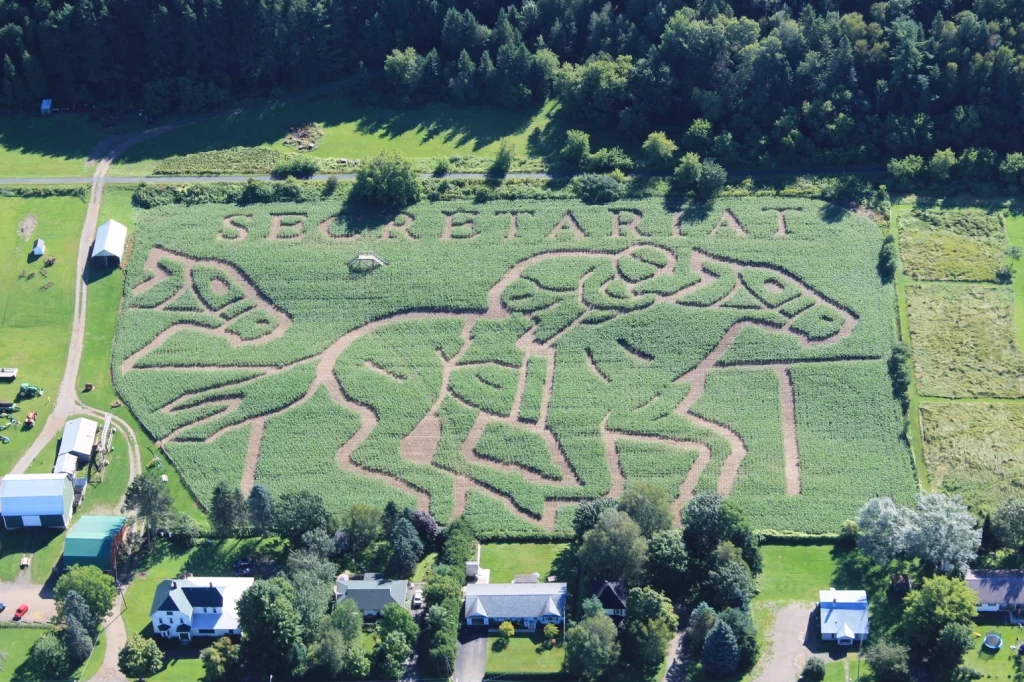 2013: Secretariat The 2013 maze celebrated the 40th anniversary of Secretariat winning the Triple Crown. Secretariats jockey, Ron Turcotte hails from Grand Falls, NB and graciously came for the grand opening of the maze