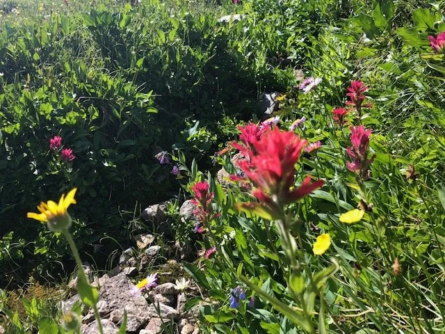 The Power of OM:  Yoga and Sound Bath Retreat: Big Sky Montana