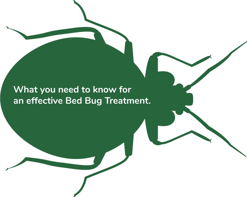 bed_bug_title_test.png